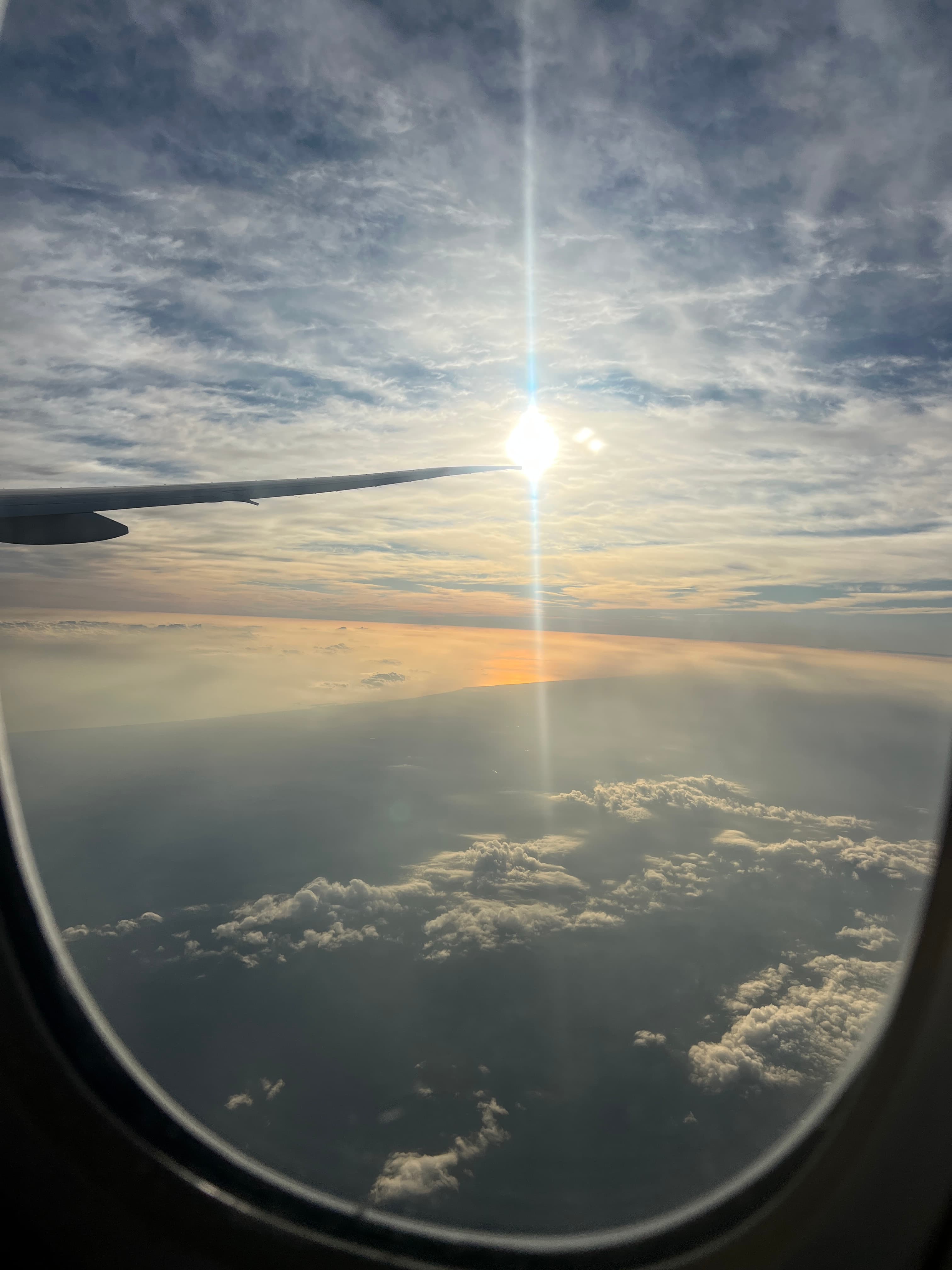 Golden hour on safari